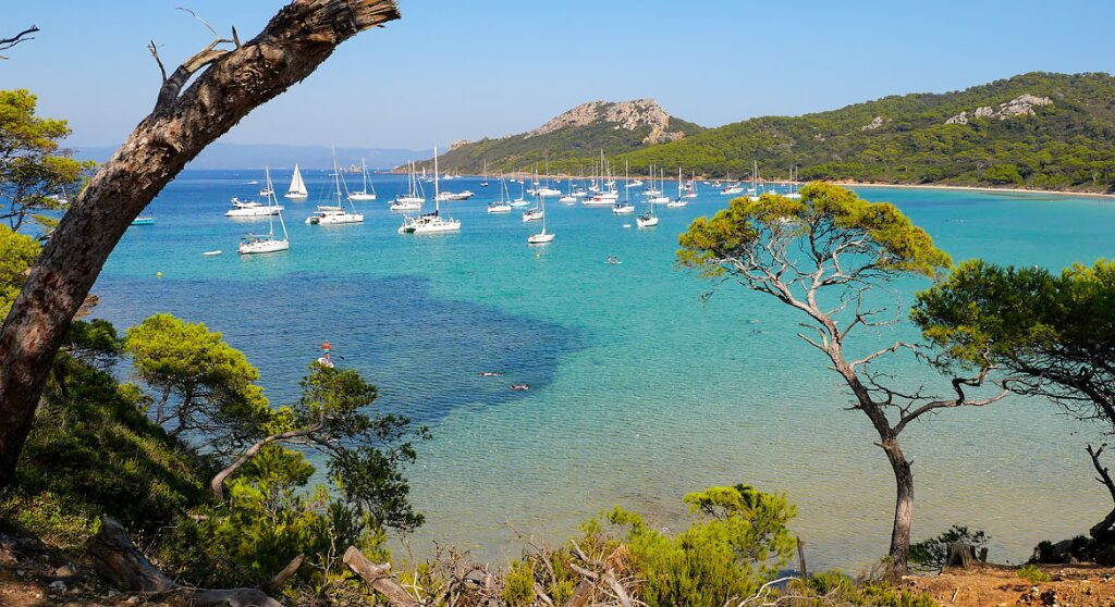 Isola di Porquerolles